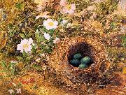 Hill, John William Bird's Nest and Dogroses France oil painting artist
